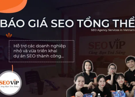 SEOViP Báo giá dịch vụ seo tổng thể