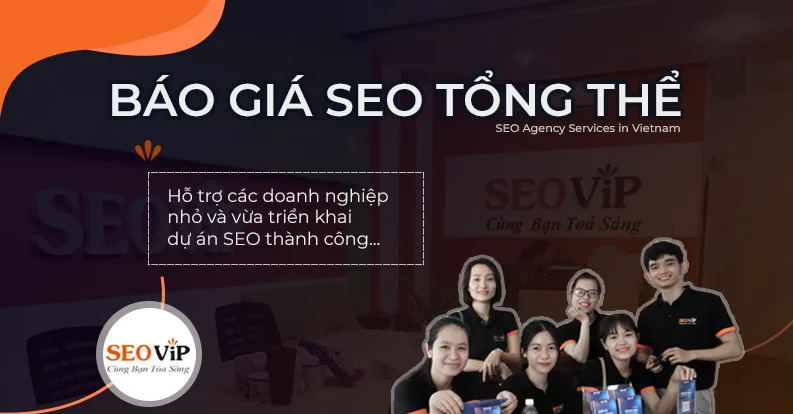 SEOViP Báo giá dịch vụ seo tổng thể giá rẻ cho doanh nghiệp