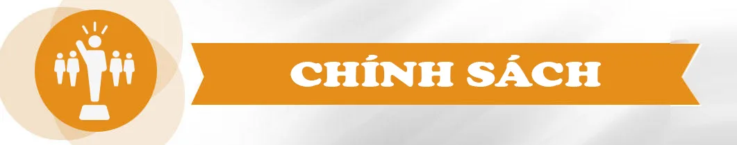 Chính sách SEO VIP