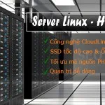 Thuê Hosting tại Đà nẵng, VPS & máy chủ SSD