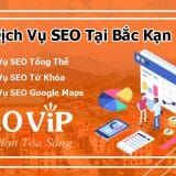 Dịch vụ SEO tại Bắc Kạn uy tín, chuyên nghiệp, hiệu quả
