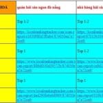 Dịch vụ Google Maps Đà Nẵng: Xác Minh, SEO, Review [UY TÍN]