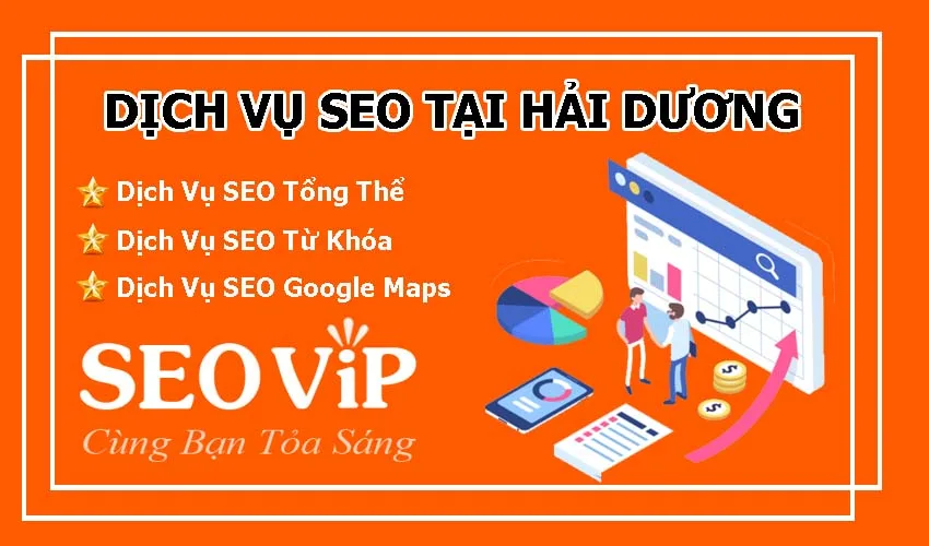 dich-vu-seo-tai-hai-duong