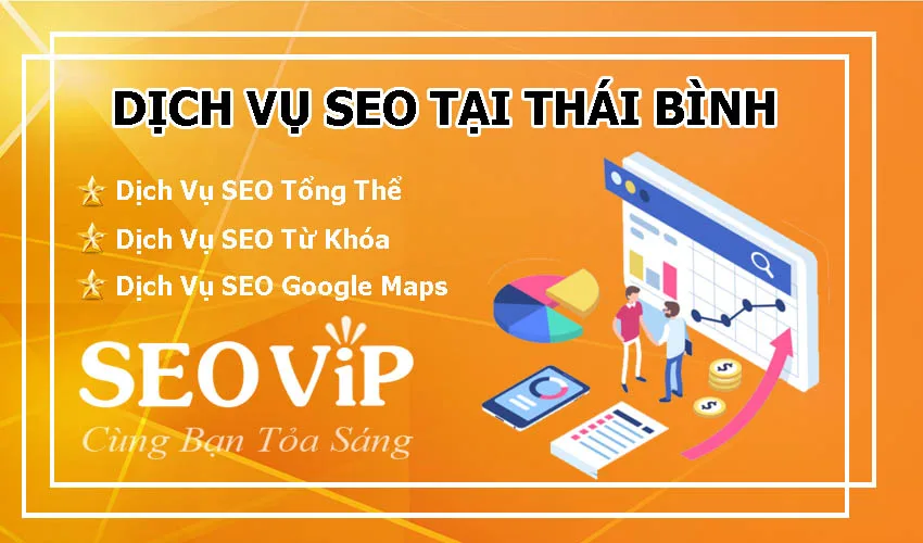 dich-vu-seo-tai-thai-binh