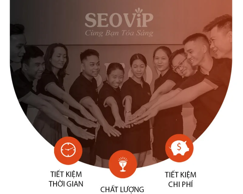 SEOVIP có 12+ năm hoạt động trong ngành