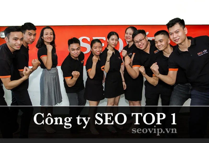 Công ty TNHH Truyền thông SEOVIP