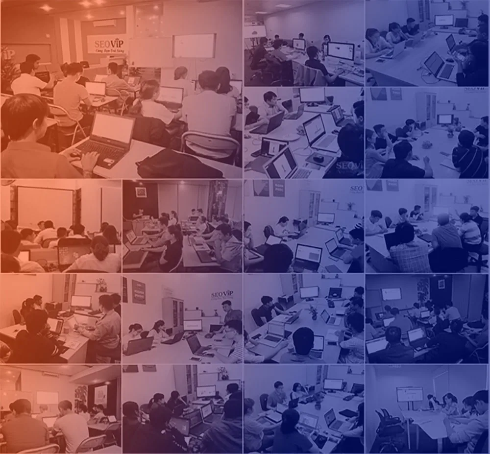 Chương trình đào tạo tại seovip