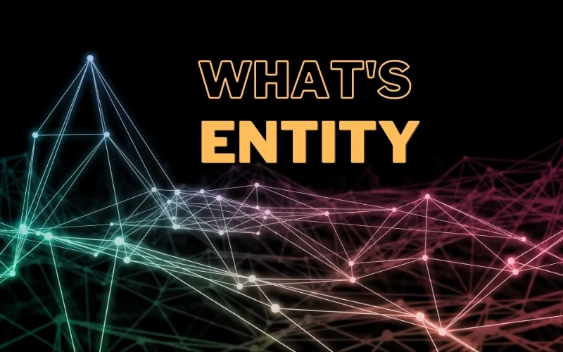 Entity là gì?
