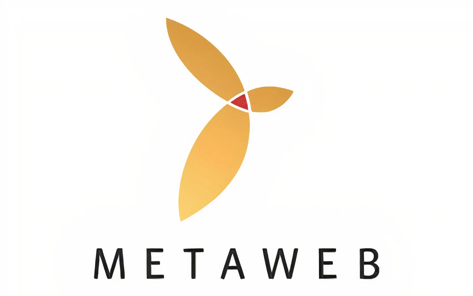 Nền tảng Entity là gì? MetaWeb