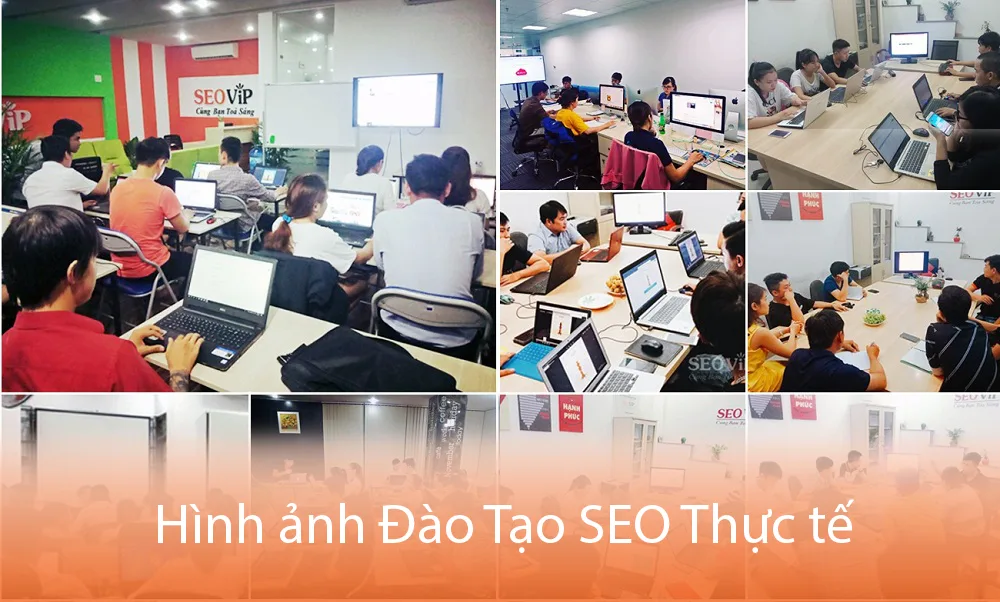 Hình ảnh Chương trình đào tạo seo thực tế tại SEOViP ™