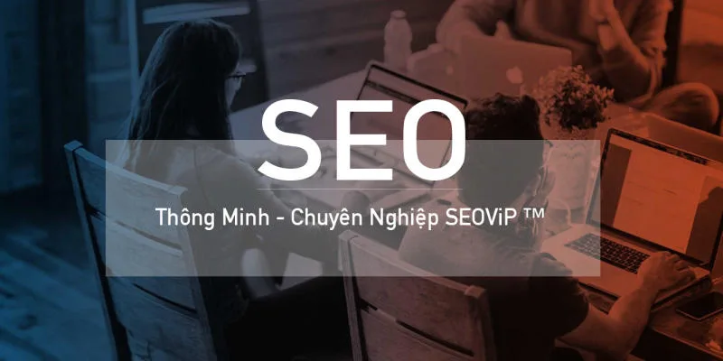 SEOVIP là một công ty chuyên SEO uy tín và chất lượng hàng đầu tại Đà Nẵng
