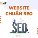 Checklist Web chuẩn SEO: Khám Bệnh Website đơn giản Miễn Phí