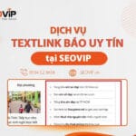 Textlink báo là gì? Hướng dẫn mua dịch vụ Textlink an toàn cho SEO