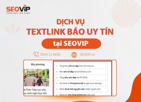 Dịch vụ texlink báo SEOVIP