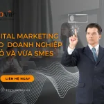 Ứng Dụng SEO Cho Startup Doanh Nghiệp Nhỏ Và Vừa smes