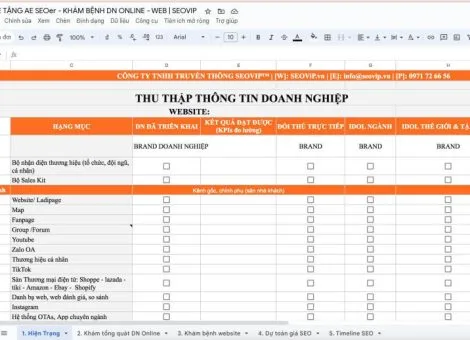 File Phân Tích Tổng Thể Dự Án SEO