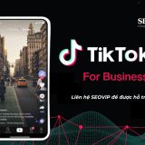 Quảng cáo TikTok Ads Đà Nẵng – Chiến lược marketing đột phá!