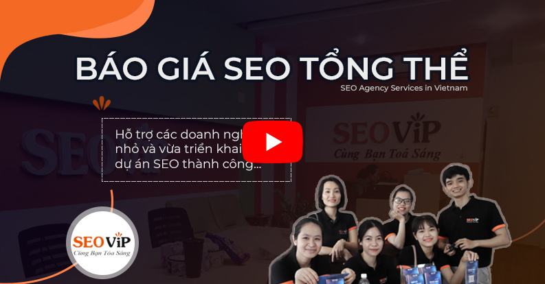 SEOViP Báo giá dịch vụ seo tổng thể