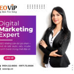 Từ khóa lên top – SEO mang lại gì cho doanh nghiệp của bạn?