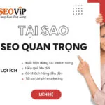 Tại sao SEO lại quan trọng? Lý do nên bắt đầu làm SEO ngay