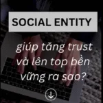 SOCIAL ENTITY GIÚP TĂNG TRUST & LÊN TOP BỀN VỮNG NHƯ THẾ NÀO?
