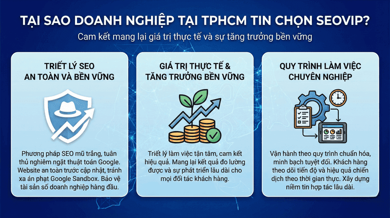 Tại sao nhiều doanh nghiệp TPHCM chọn SEOVIP