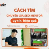 Cách tìm chuyên gia SEO, SEO Mentor tốt tại Việt nam? 5 tiêu chí bắt buộc