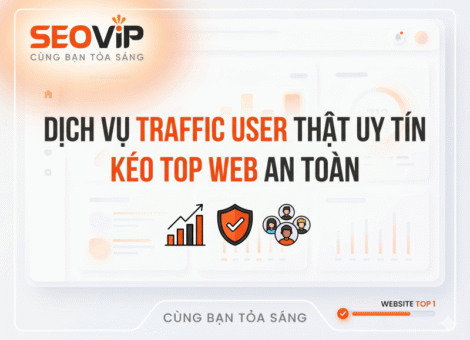 Dịch Vụ Traffic User Thật Uy Tín, Kéo Top Web An Toàn
