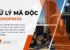 WEBSITE ĐANG YÊN LÀNH BỖNG TỤT TRAFFIC, GOOGLE CẢNH BÁO?