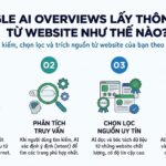 Google AI Overviews lấy thông tin từ website như thế nào?